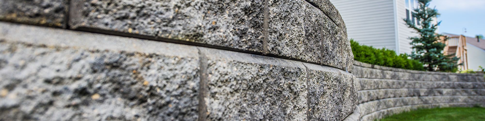 banner7