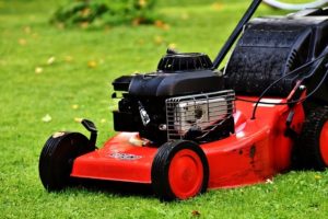 cost of grass mowing in indianapolis